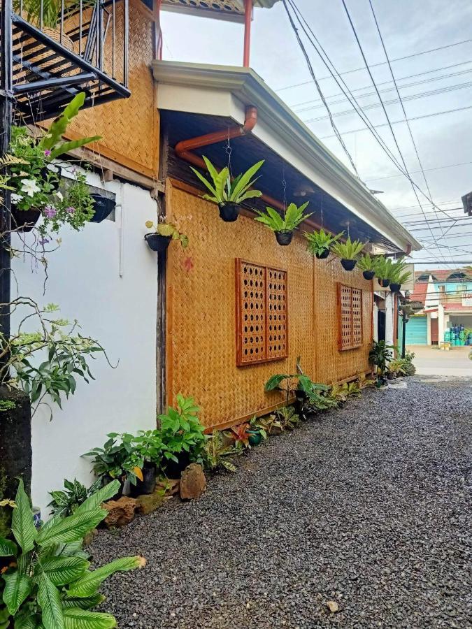 Balai Vivencio Hostel Puerto Princesa Exterior photo